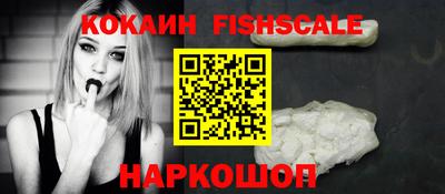 гидра Гатчина