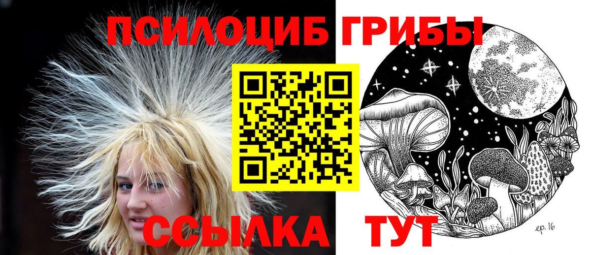 Псилоцибиновые грибы GOLDEN TEACHER Миллерово
